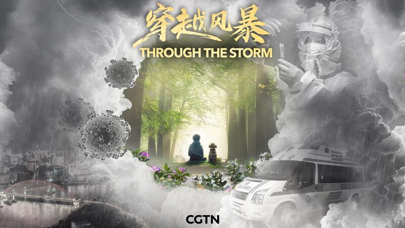China_s_COVID_Battle__A_3_Year_Journey_Through_the_Storm_____ video poster