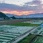 China_s_Circular_Agriculture_Pilots_Boost_Green_Farming___