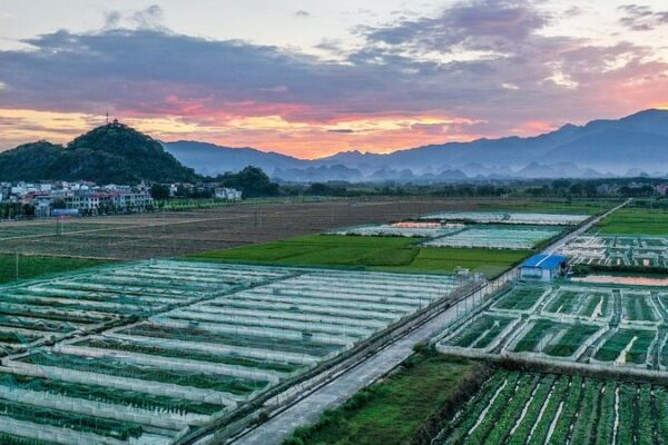 China’s Circular Agriculture Pilots Boost Green Farming 🌱💡 China_s_Circular_Agriculture_Pilots_Boost_Green_Farming___