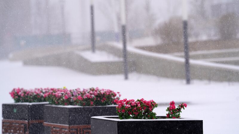 China_s_Cold_Wave_Tightens__Highest_Alert_Level_Issued_____