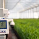 __China_s_Farm_Tech_Boom_Fuels_Rural_Growth___Food_Security