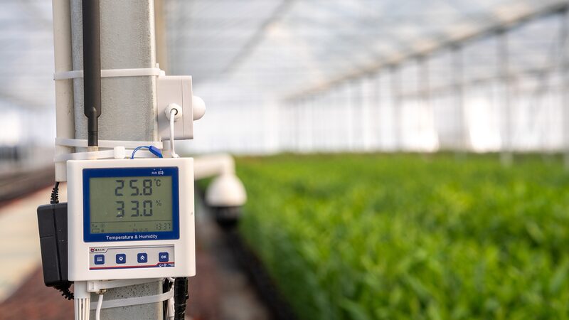 China_s_Farm_Tech_Boom_Fuels_Rural_Growth___Food_Security - 🌍NewspaperAmigo – Your Global News Buddy 🗞️ __China_s_Farm_Tech_Boom_Fuels_Rural_Growth___Food_Security