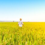 China_s_Farmland_Grows_for_3rd_Year__