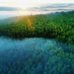 ___China_s_Forest_Food_Output_Hits_Record_226M_Tonnes_in_2023