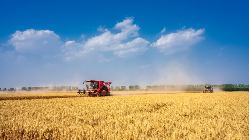 China_s_Green_Agriculture__Steady_Growth_and_Innovation___