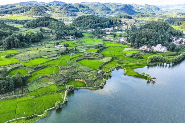 China’s Green Blueprint: Key Moves for a Sustainable Future 🌱 China_s_Green_Blueprint__Key_Moves_for_a_Sustainable_Future__