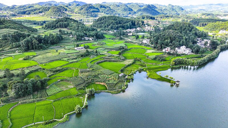 China_s_Green_Blueprint__Key_Moves_for_a_Sustainable_Future__ - 🌍NewspaperAmigo – Your Global News Buddy 🗞️ China_s_Green_Blueprint__Key_Moves_for_a_Sustainable_Future__