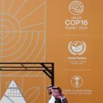 China_s_Green_Great_Wall__A_Blueprint_for_Beating_Desertification____