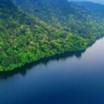 __China_s_Green_Revolution__Forest_Growth_Soars_by_25__in_a_Decade video poster