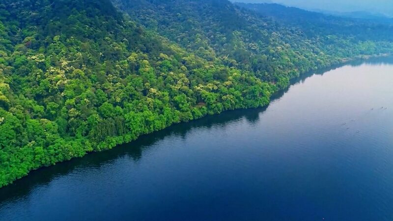 China_s_Green_Revolution__Forest_Growth_Soars_by_25__in_a_Decade_poster - 🌍NewspaperAmigo – Your Global News Buddy 🗞️ __China_s_Green_Revolution__Forest_Growth_Soars_by_25__in_a_Decade video poster