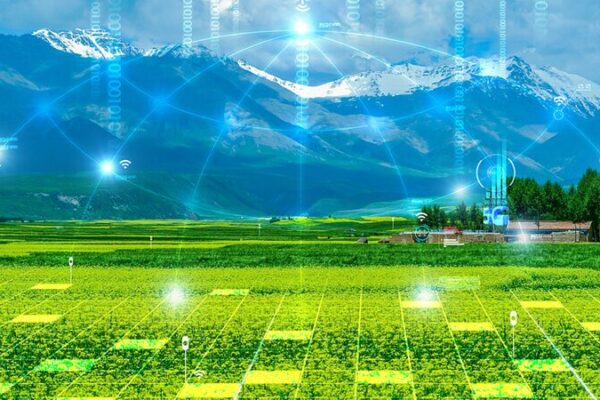 China’s Green Revolution: How 9% of Earth’s Land Feeds 1.4 Billion 🚜🌾 China_s_Green_Revolution__How_9__of_Earth_s_Land_Feeds_1_4_Billion___ video poster