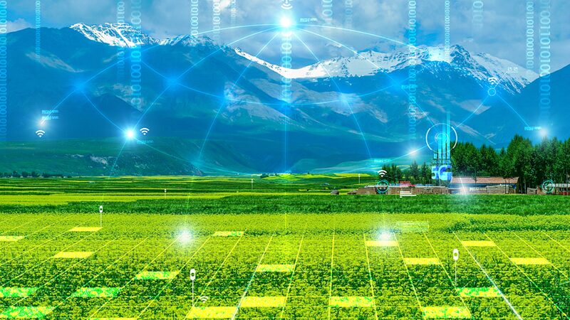 China_s_Green_Revolution__How_9__of_Earth_s_Land_Feeds_1_4_Billion____poster - 🌍NewspaperAmigo – Your Global News Buddy 🗞️ China_s_Green_Revolution__How_9__of_Earth_s_Land_Feeds_1_4_Billion___ video poster