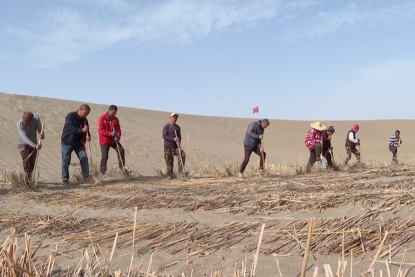 China’s Green Wall: How Tech Battles Taklimakan Desert 🌱🏜️ China_s_Green_Wall__How_Tech_Battles_Taklimakan_Desert____ video poster