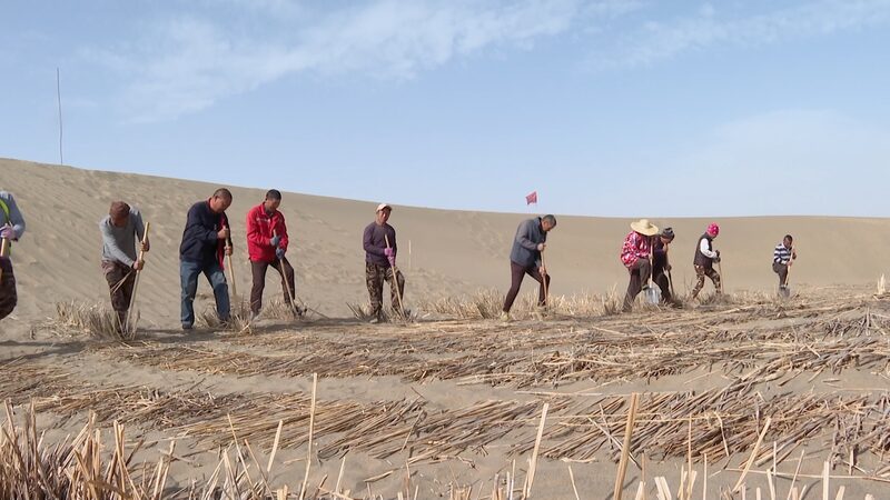 China_s_Green_Wall__How_Tech_Battles_Taklimakan_Desert____ video poster