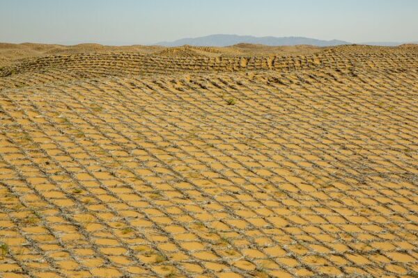 China’s Green Wall: Tech Meets Tradition to Fight Desertification ๐พ๐ China_s_Green_Wall__Tech_Meets_Tradition_to_Fight_Desertification___