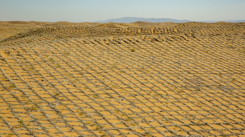 China_s_Green_Wall__Tech_Meets_Tradition_to_Fight_Desertification___