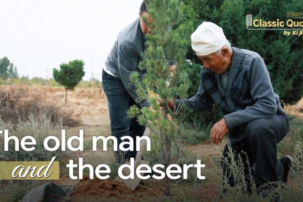 China’s Green Warriors: Turning Deserts into Forests 🌱🌍 China_s_Green_Warriors__Turning_Deserts_into_Forests___ video poster