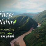 China_s_Hidden_Savanna__Yunnan_s_Wild_Secret___ video poster