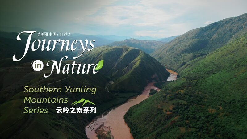 China_s_Hidden_Savanna__Yunnan_s_Wild_Secret____poster - 🌍NewspaperAmigo – Your Global News Buddy 🗞️ China_s_Hidden_Savanna__Yunnan_s_Wild_Secret___ video poster