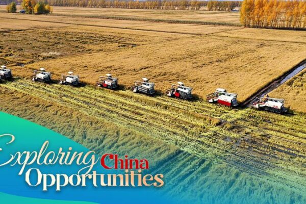 China’s High-Tech Farmlands Fuel Record Grain Harvest 🚜🌾 China_s_High_Tech_Farmlands_Fuel_Record_Grain_Harvest___