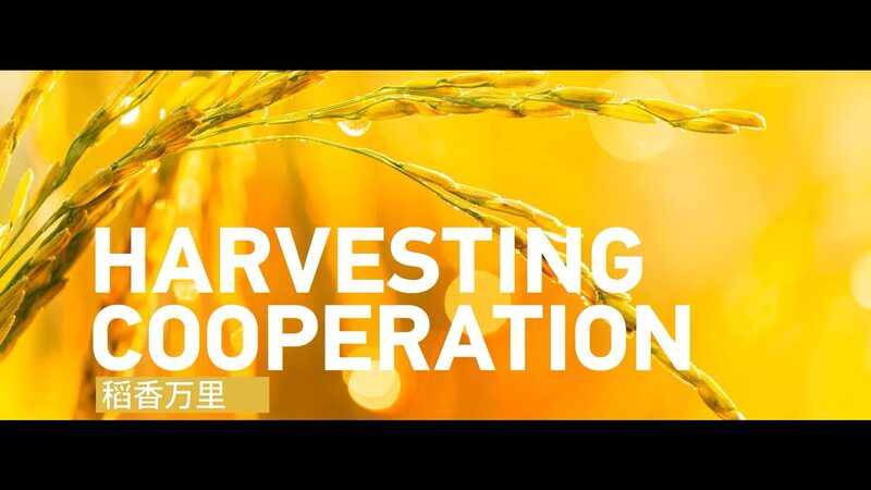 China_s_Hybrid_Rice_Tech_Sprouts_Hope_Across_ASEAN___ video poster