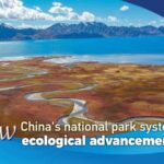 China_s_National_Parks_Lead_Green_Revolution____