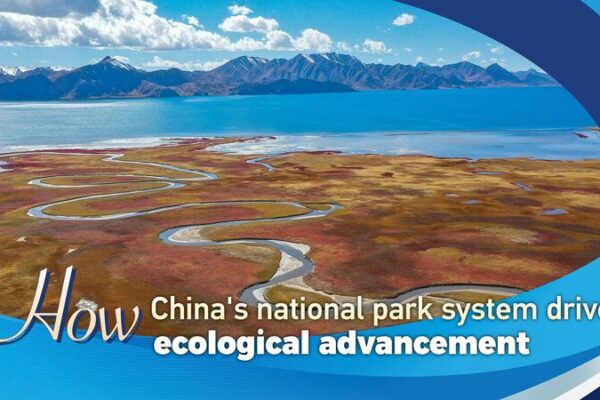 China’s National Parks Lead Green Revolution ๐ฟ๐๏ธ China_s_National_Parks_Lead_Green_Revolution____