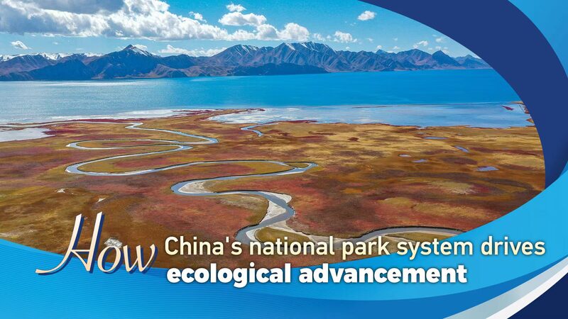 China_s_National_Parks_Lead_Green_Revolution____ - 🌍NewspaperAmigo – Your Global News Buddy 🗞️ China_s_National_Parks_Lead_Green_Revolution____