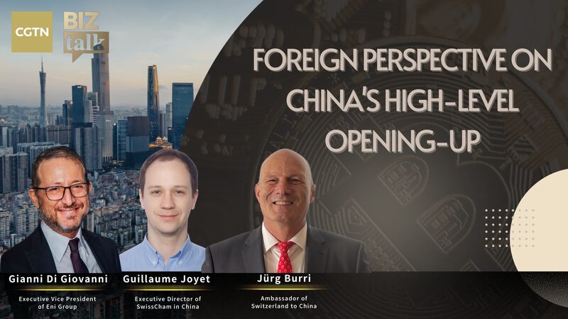 China_s_Opening_Up__Foreign_Experts_Highlight_AI___Green_Tech_Opportunities___ video poster
