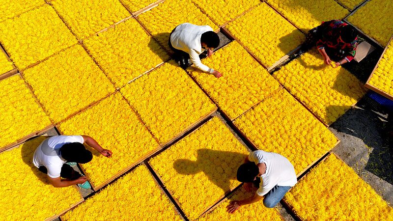China_s_Poverty_Fight__A_Blueprint_for_Global_Change___