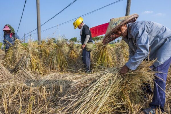 China’s Poverty Fight: Protecting Progress 🌱💪 China_s_Poverty_Fight__Protecting_Progress___