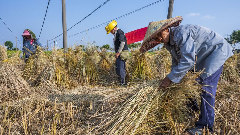 China_s_Poverty_Fight__Protecting_Progress___ - 🌍NewspaperAmigo – Your Global News Buddy 🗞️ China_s_Poverty_Fight__Protecting_Progress___