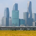 __China_s_Private_Enterprises_Thrive_with_Resilience___Innovation___
