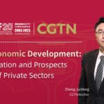 China_s_Private_Sector_Boosts_Innovation___Green_Growth___ video poster