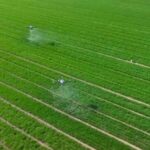 China_s_Rural_Revamp__2025_Roadmap_Revealed___ video poster