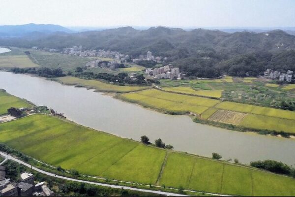 China’s Rural Revitalization Sparks Global Agri-Innovation 🌱🌍 China_s_Rural_Revitalization_Sparks_Global_Agri_Innovation___ video poster