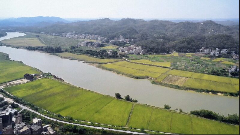 China_s_Rural_Revitalization_Sparks_Global_Agri_Innovation____poster - 🌍NewspaperAmigo – Your Global News Buddy 🗞️ China_s_Rural_Revitalization_Sparks_Global_Agri_Innovation___ video poster