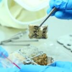 China_s_Shenzhou_17_Delivers_Cosmic_Clues_for_Science_Breakthroughs___