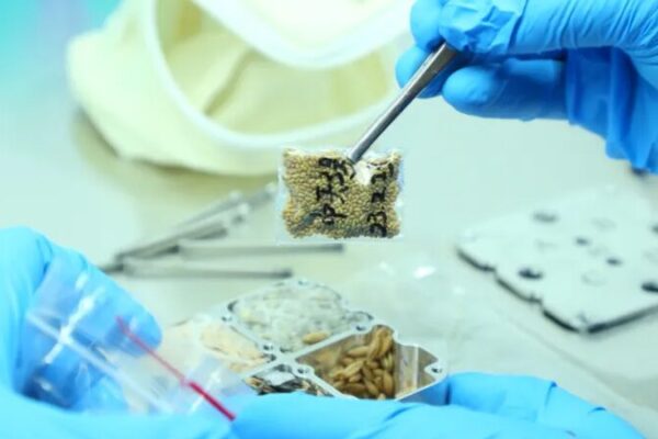 China’s Shenzhou-17 Delivers Cosmic Clues for Science Breakthroughs 🌌🔬 China_s_Shenzhou_17_Delivers_Cosmic_Clues_for_Science_Breakthroughs___