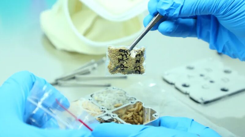 China_s_Shenzhou_17_Delivers_Cosmic_Clues_for_Science_Breakthroughs___ - 🌍NewspaperAmigo – Your Global News Buddy 🗞️ China_s_Shenzhou_17_Delivers_Cosmic_Clues_for_Science_Breakthroughs___