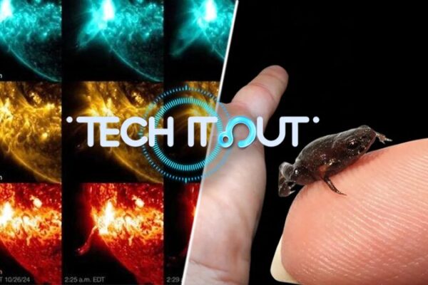 China’s Solar Breakthrough, Tiny Frog Discovery & More 🌍🔬 China_s_Solar_Breakthrough__Tiny_Frog_Discovery___More___ video poster