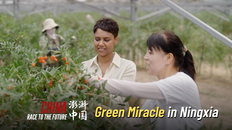 China’s Solar Surge: Ningxia’s Green Miracle Shines Bright βοΈπ China_s_Solar_Surge__Ningxia_s_Green_Miracle_Shines_Bright____ video poster
