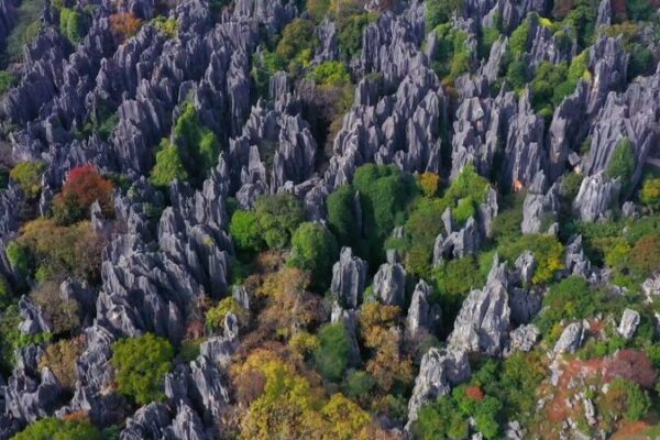 China’s Stone Forest: Nature’s Ancient Masterpiece 🌄 China_s_Stone_Forest__Nature_s_Ancient_Masterpiece__ video poster
