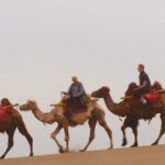 China_s_Summer_Vibes__Movies__Music___Marco_Polo___