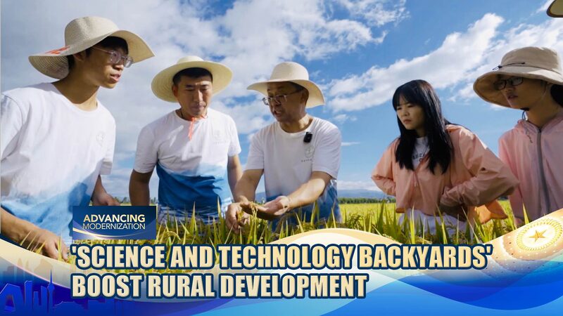 China_s_Tech_Backyards_Revolutionize_Rural_Communities_poster - 🌍NewspaperAmigo – Your Global News Buddy 🗞️ __China_s_Tech_Backyards_Revolutionize_Rural_Communities video poster