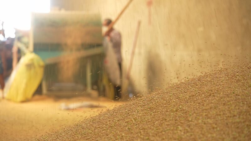 China_s_Tofu_Town_Celebrates_Soybean_Harvest_Season____poster - 🌍NewspaperAmigo – Your Global News Buddy 🗞️ China_s_Tofu_Town_Celebrates_Soybean_Harvest_Season___ video poster