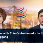China_s_WTO_Ambassador_Discusses_Global_Growth_and_Cooperation___ video poster