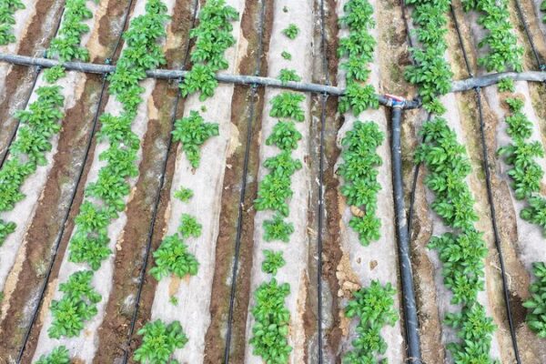 Chinaโs Water Revolution ๐ง: Trillion-Yuan Push for Global Sustainability China_s_Water_Revolution____Trillion_Yuan_Push_for_Global_Sustainability