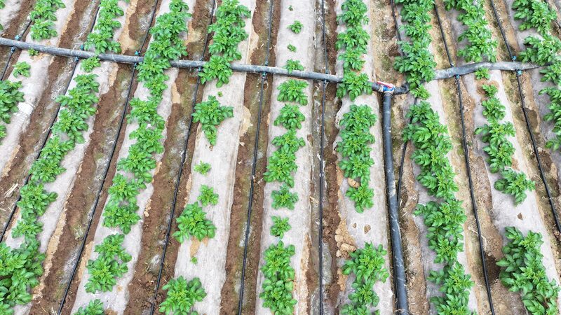 China_s_Water_Revolution____Trillion_Yuan_Push_for_Global_Sustainability