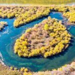 China_s_Wetlands_Thrive__Asia_s_Largest_Ecosystem_Stable___